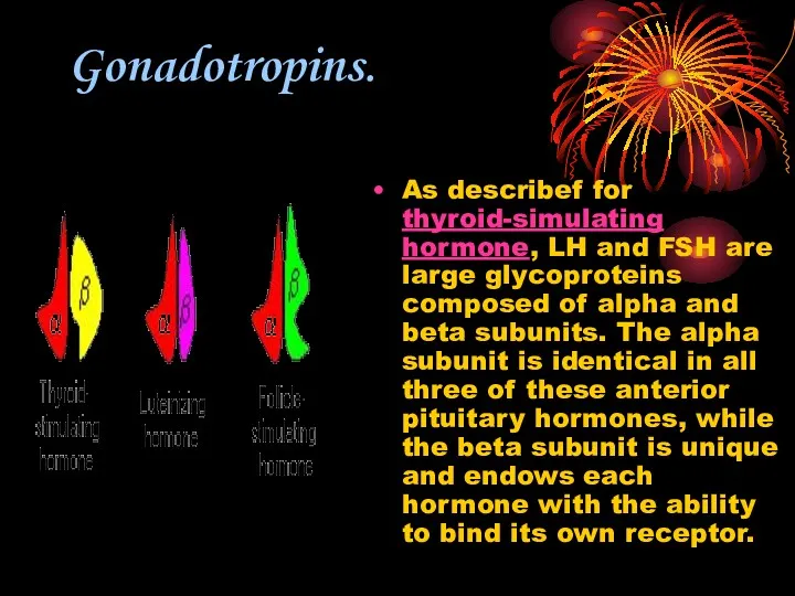 Gonadotropins. As describef for thyroid-simulating hormone, LH and FSH are