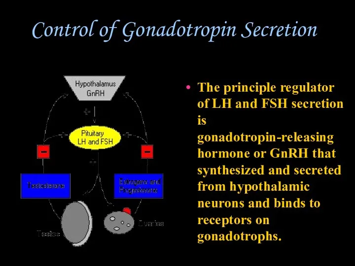 Control of Gonadotropin Secretion The principle regulator of LH and