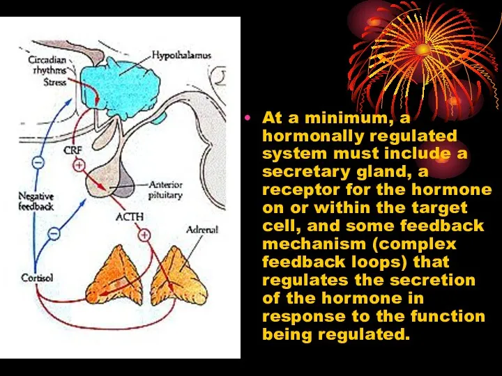 At a minimum, a hormonally regulated system must include a