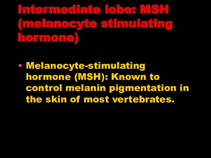 Intermediate lobe: MSH (melanocyte stimulating hormone) Melanocyte-stimulating hormone (MSH): Known