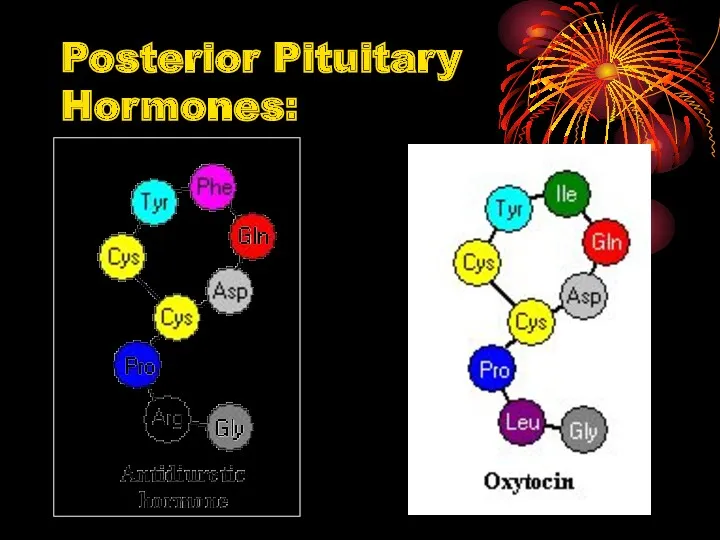 Posterior Pituitary Hormones: