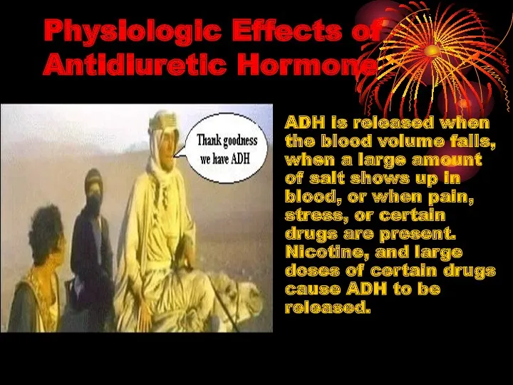 Physiologic Effects of Antidiuretic Hormone ADH is released when the