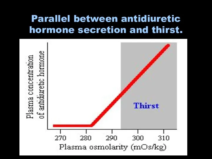 Parallel between antidiuretic hormone secretion and thirst.