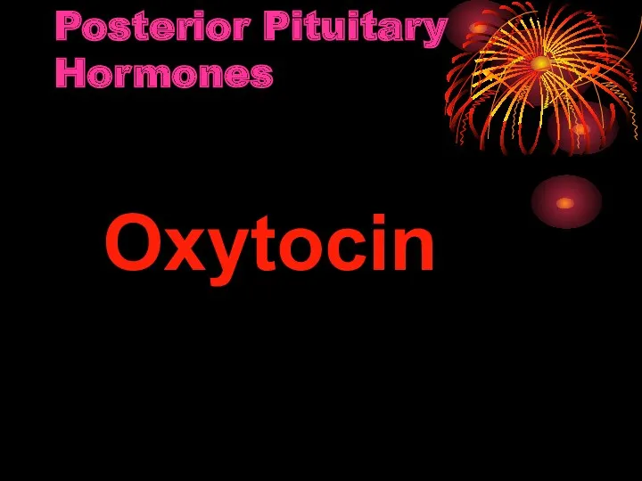 Posterior Pituitary Hormones Oxytocin