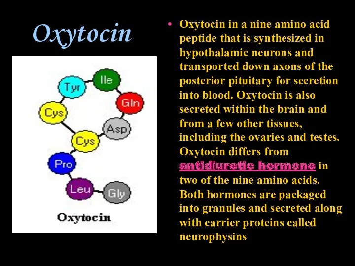 Oxytocin Oxytocin in a nine amino acid peptide that is