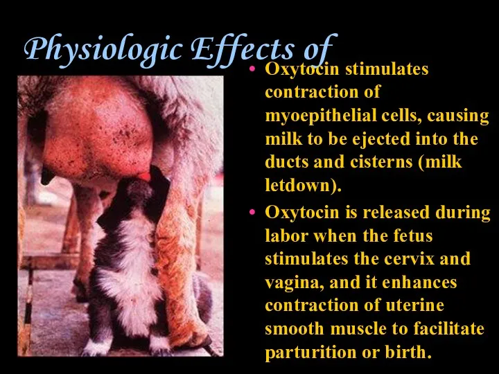 Physiologic Effects of Oxytocin Oxytocin stimulates contraction of myoepithelial cells,