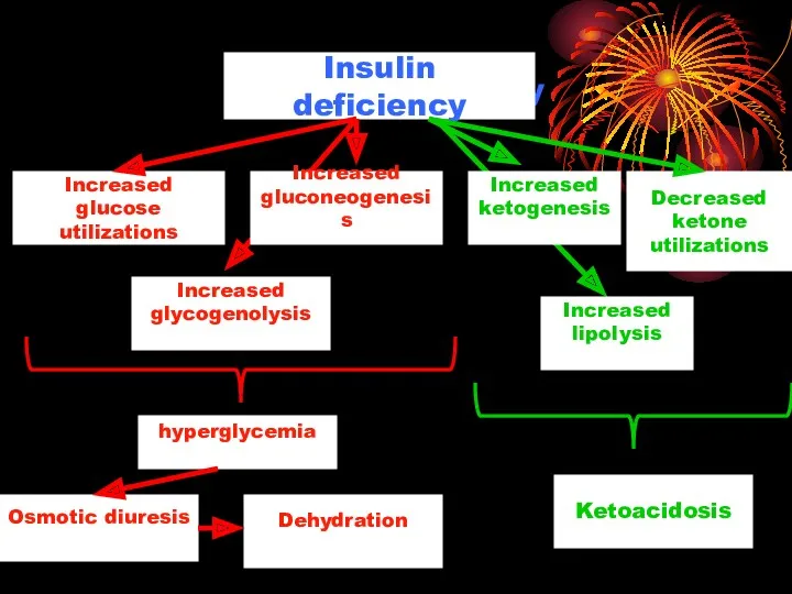 Insulin deficiency Insulin deficiency Increased glucose utilizations Increased glycogenolysis Increased