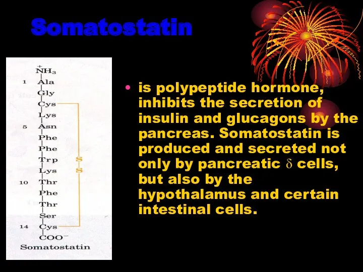 Somatostatin is polypeptide hormone, inhibits the secretion of insulin and