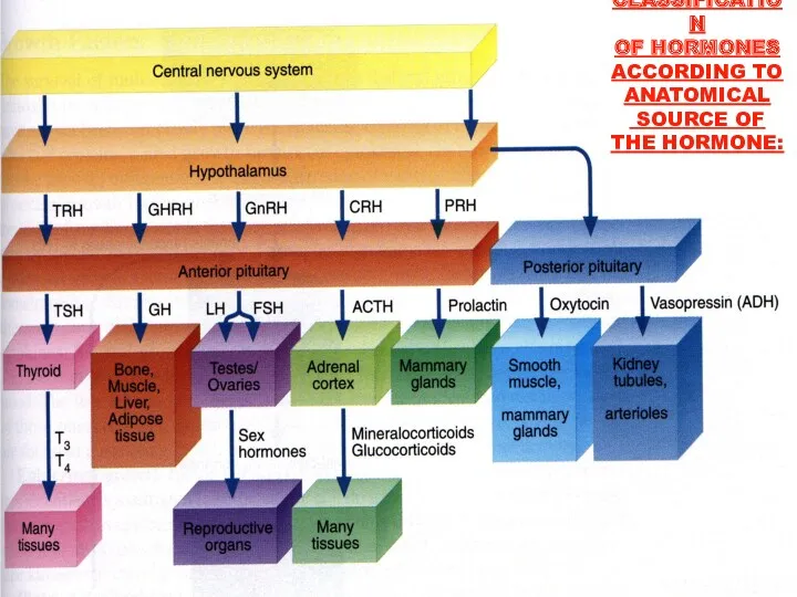 CLASSIFICATION OF HORMONES ACCORDING TO ANATOMICAL SOURCE OF THE HORMONE: