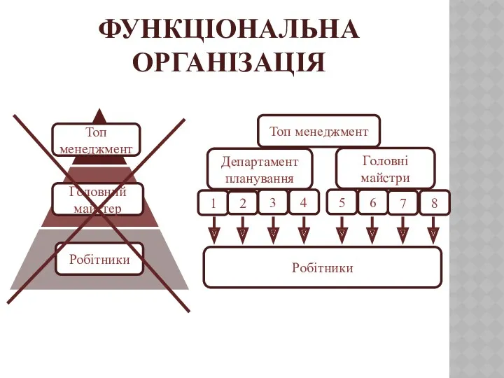 ФУНКЦІОНАЛЬНА ОРГАНІЗАЦІЯ