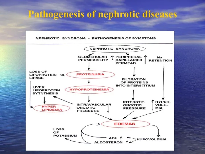 Pathogenesis of nephrotic diseases