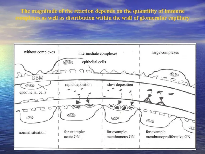 The magnitude of the reaction depends on the quantitity of