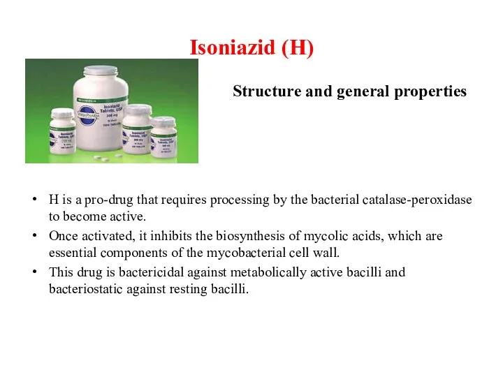 Isoniazid (H) H is a pro-drug that requires processing by