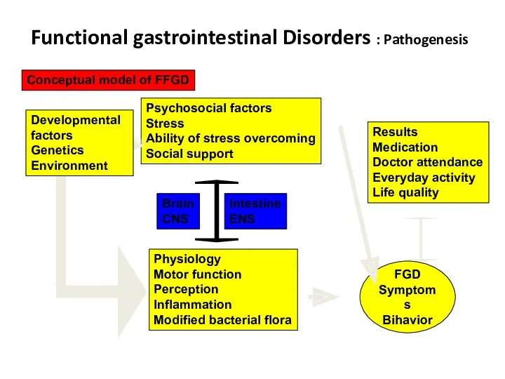 Functional gastrointestinal Disorders : Pathogenesis Conceptual model of FFGD Psychosocial