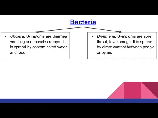 Bacteria Cholera: Symptoms are diarrhea vomiting and muscle cramps. It is spread by