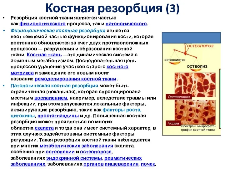 Костная резорбция (3) Резорбция костной ткани является частью как физиологического