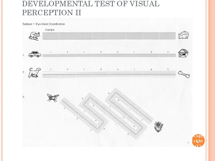 OEPF Copyright (C) 1991-2009 DEVELOPMENTAL TEST OF VISUAL PERCEPTION II