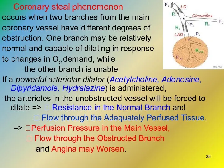 Coronary steal phenomenon occurs when two branches from the main