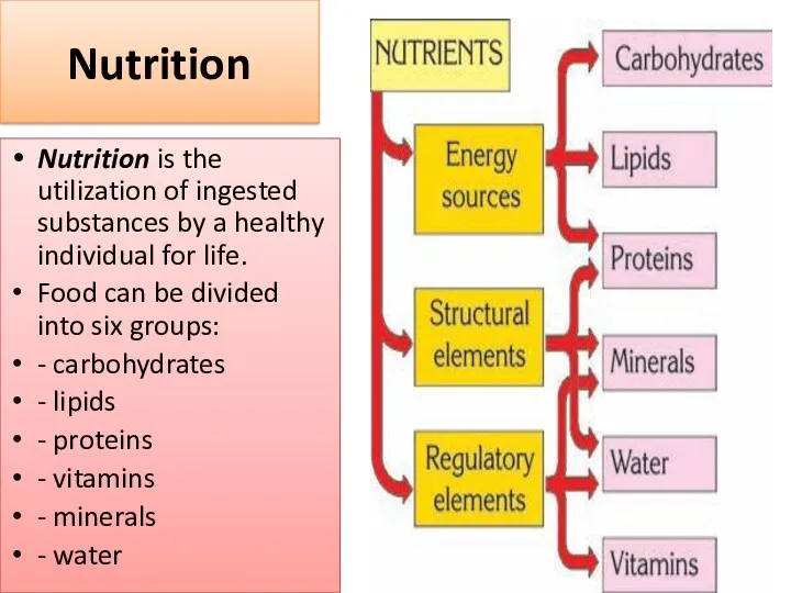 Nutrition Nutrition is the utilization of ingested substances by a