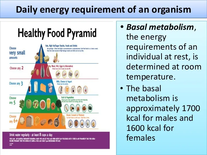 Daily energy requirement of an organism Basal metabolism, the energy