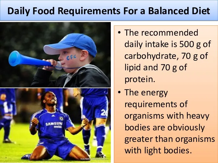 Daily Food Requirements For a Balanced Diet The recommended daily