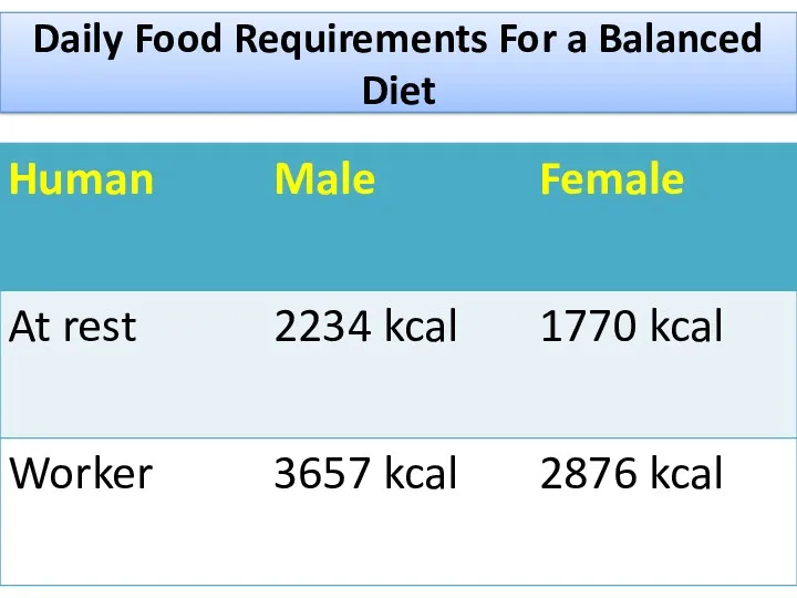 Daily Food Requirements For a Balanced Diet