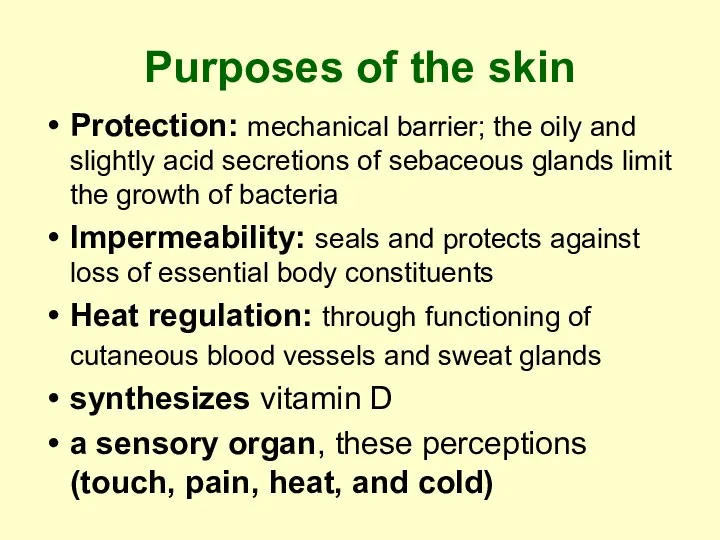 Purposes of the skin Protection: mechanical barrier; the oily and