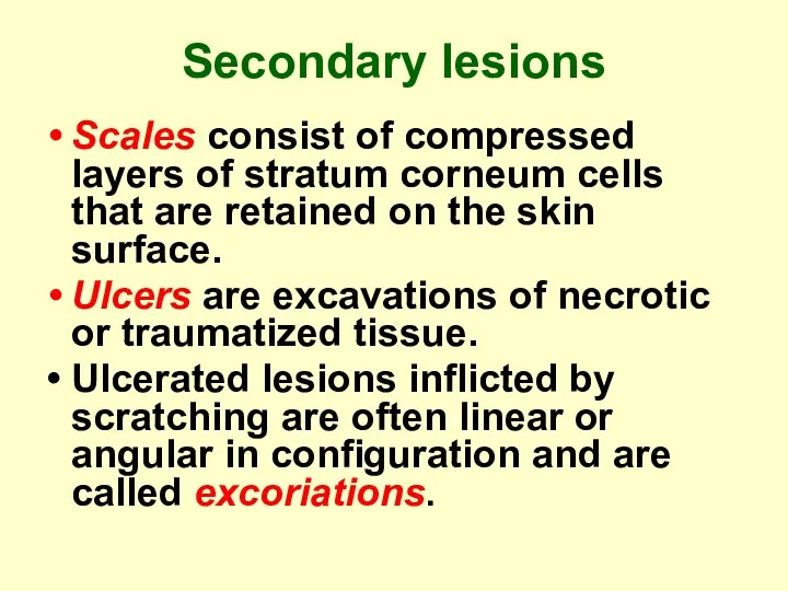 Secondary lesions Scales consist of compressed layers of stratum corneum