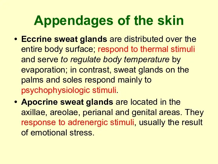 Appendages of the skin Eccrine sweat glands are distributed over