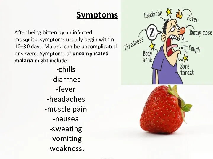 Symptoms After being bitten by an infected mosquito, symptoms usually