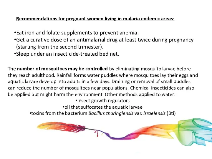 Recommendations for pregnant women living in malaria endemic areas: Eat