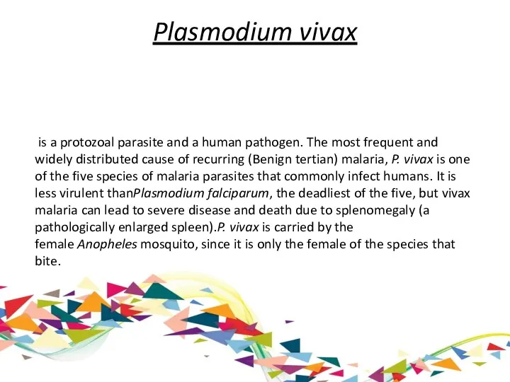 Plasmodium vivax is a protozoal parasite and a human pathogen.