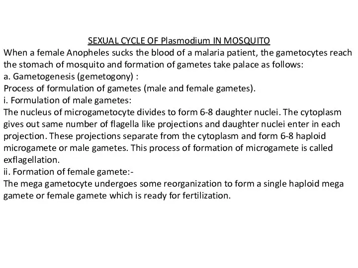 SEXUAL CYCLE OF Plasmodium IN MOSQUITO When a female Anopheles