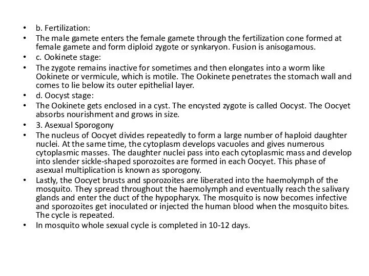 b. Fertilization: The male gamete enters the female gamete through