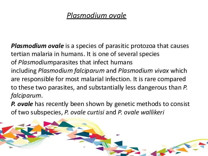 Plasmodium ovale Plasmodium ovale is a species of parasitic protozoa