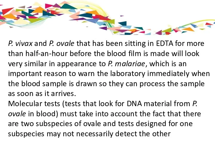 P. vivax and P. ovale that has been sitting in