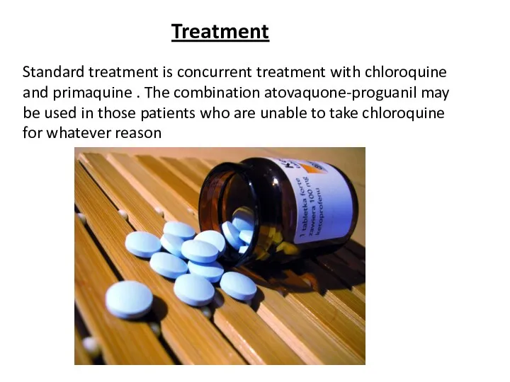 Treatment Standard treatment is concurrent treatment with chloroquine and primaquine