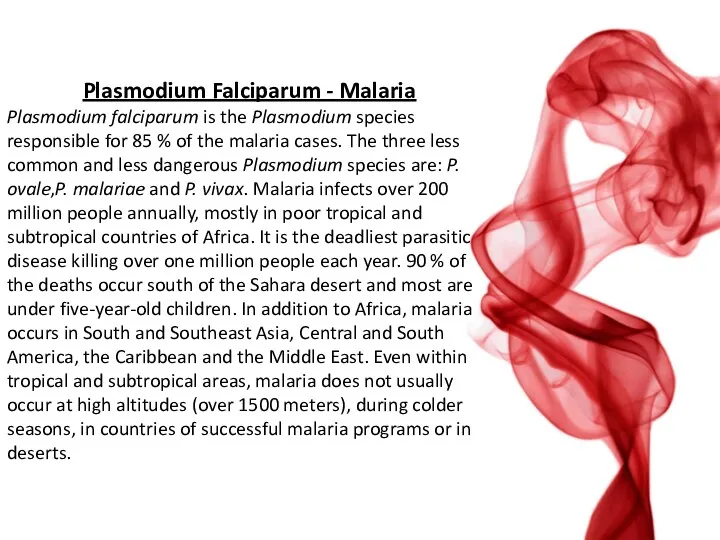 Plasmodium Falciparum - Malaria Plasmodium falciparum is the Plasmodium species