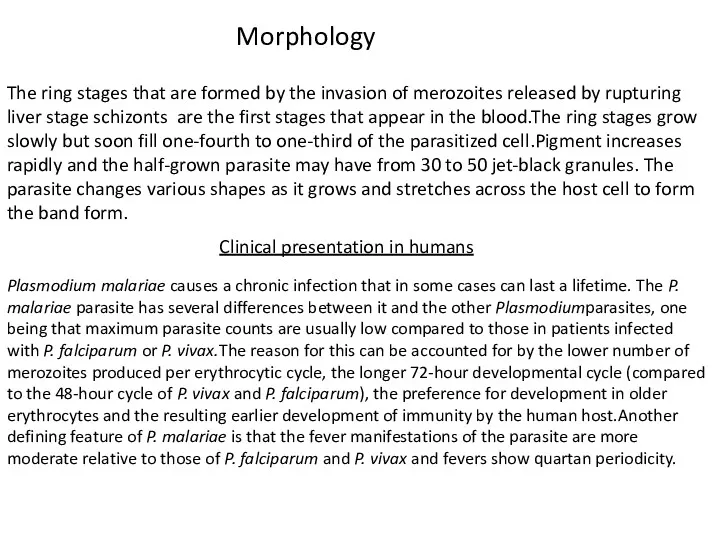 Morphology The ring stages that are formed by the invasion