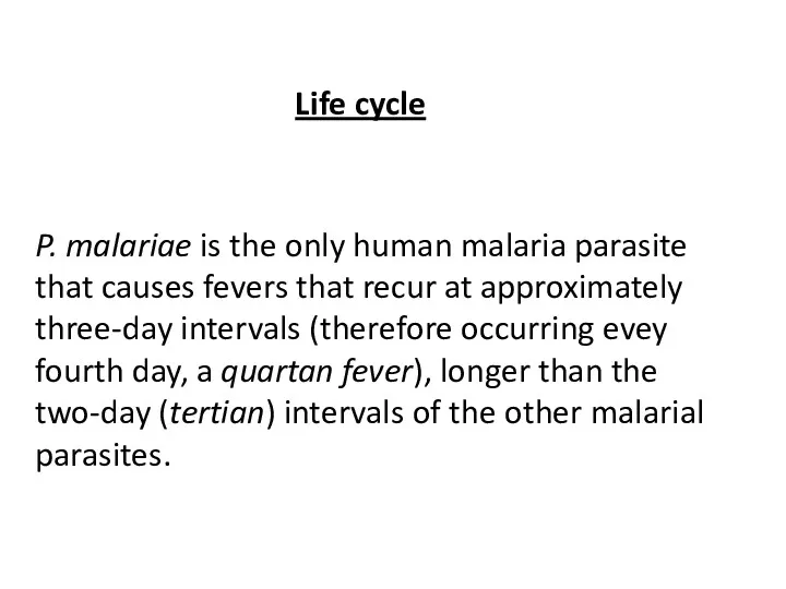 Life cycle P. malariae is the only human malaria parasite