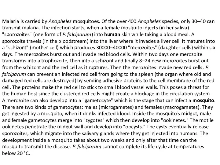 Malaria is carried by Anopheles mosquitoes. Of the over 400