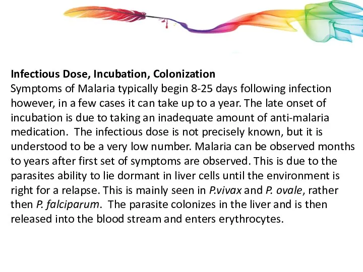 Infectious Dose, Incubation, Colonization Symptoms of Malaria typically begin 8-25