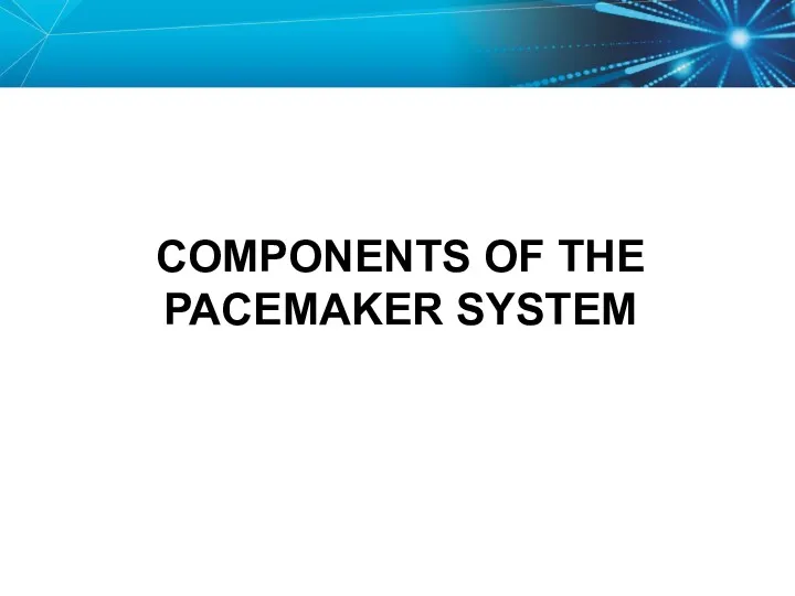 COMPONENTS OF THE PACEMAKER SYSTEM