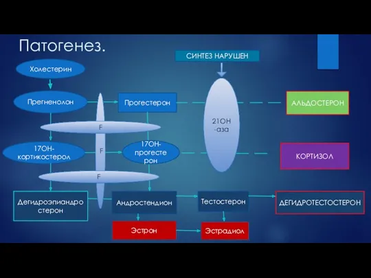 Патогенез. Холестерин Прегненолон Прогестерон 17ОН-кортикостерол Дегидроэпиандростерон Андростендион Тестостерон ДЕГИДРОТЕСТОСТЕРОН Эстрон