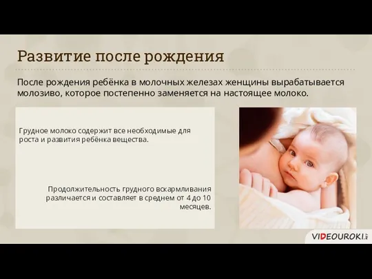 Развитие после рождения После рождения ребёнка в молочных железах женщины
