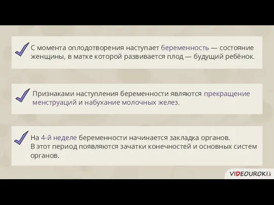 На 4-й неделе беременности начинается закладка органов. В этот период