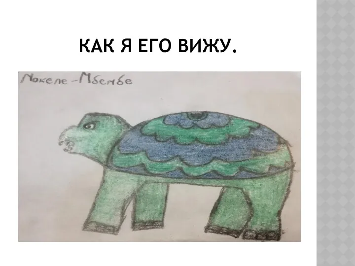 КАК Я ЕГО ВИЖУ.