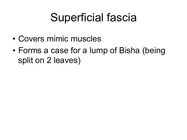Superficial fascia Covers mimic muscles Forms a case for a