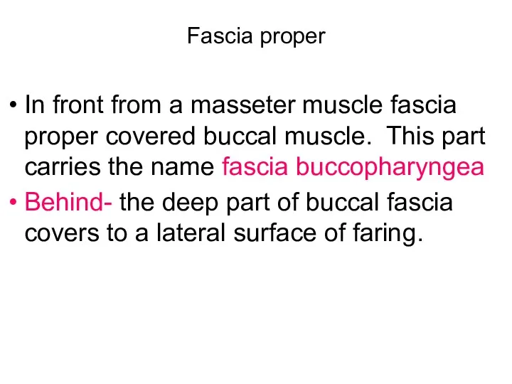 Fascia proper In front from a masseter muscle fascia proper