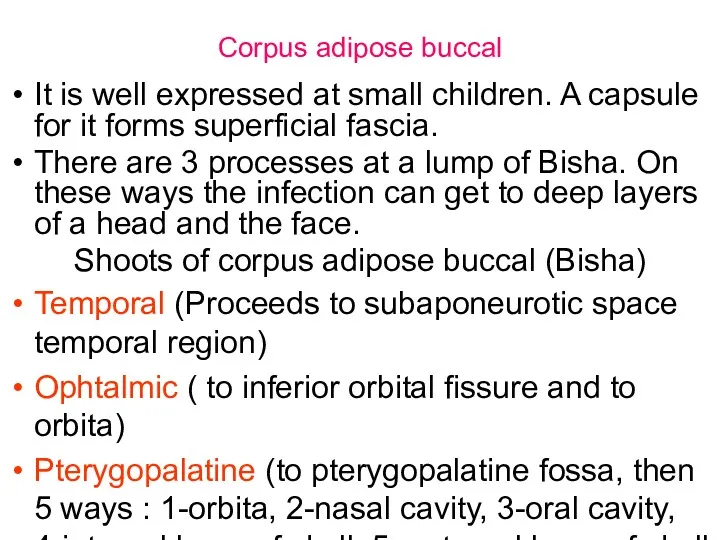 Corpus adipose buccal It is well expressed at small children.